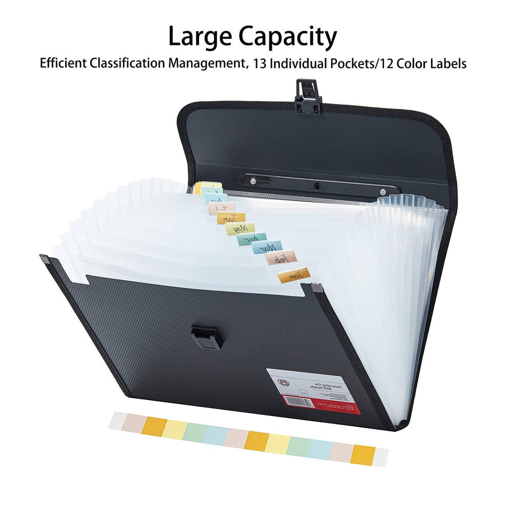 Expandable file folder organizer holding documents with accordion pockets and tabs