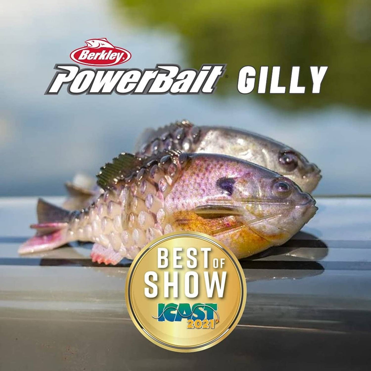 Fish-shaped soft plastic gilly lure with bluegill-like coloring on a surface