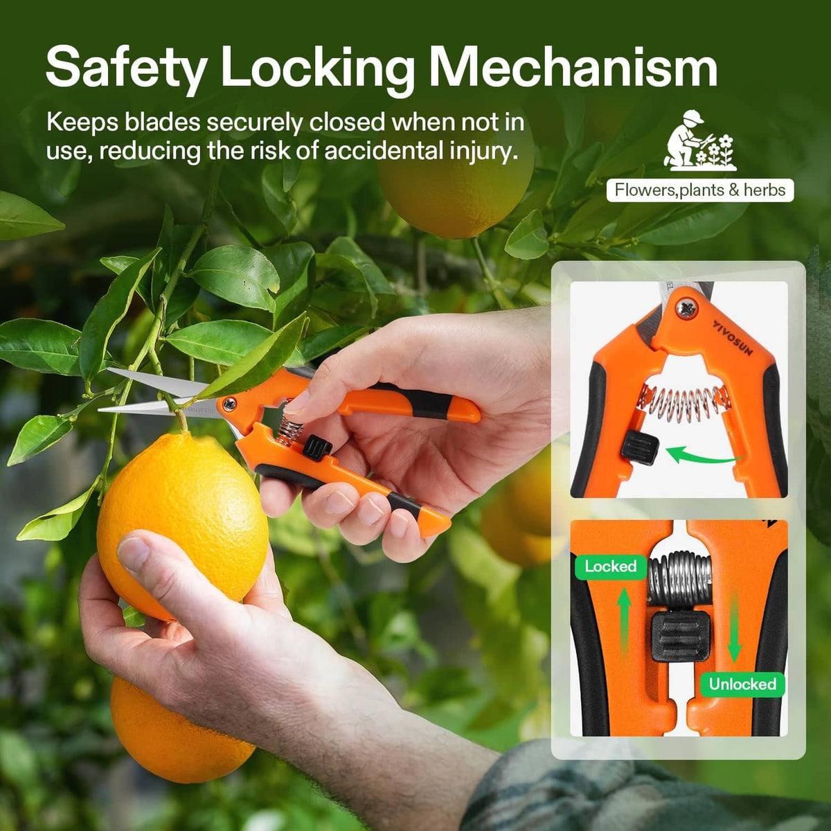 Orange pruning shears with safety lock mechanism, held near fruit and leafy branches