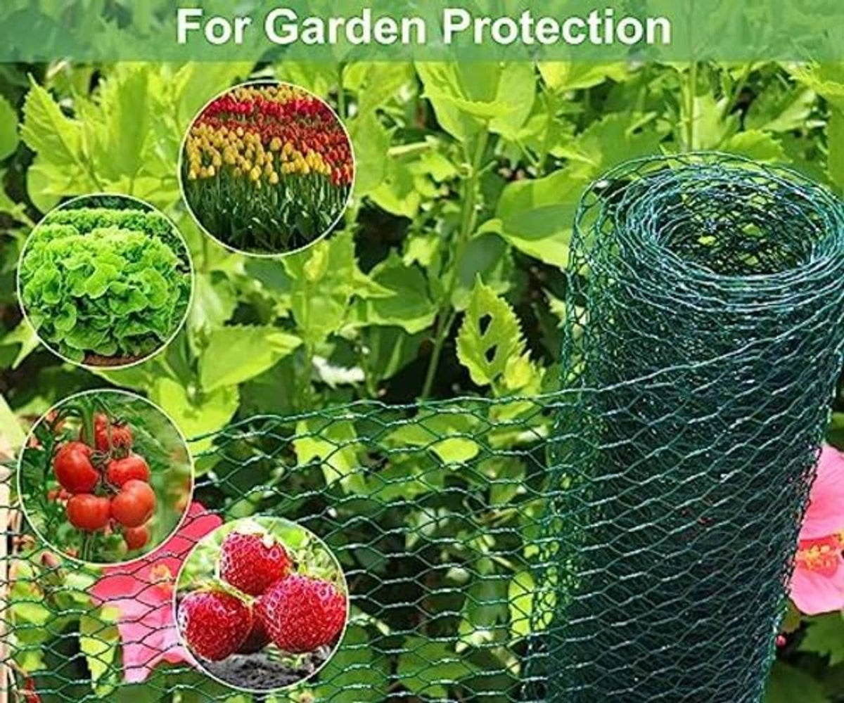 Green chicken wire mesh roll placed among garden plants for protection