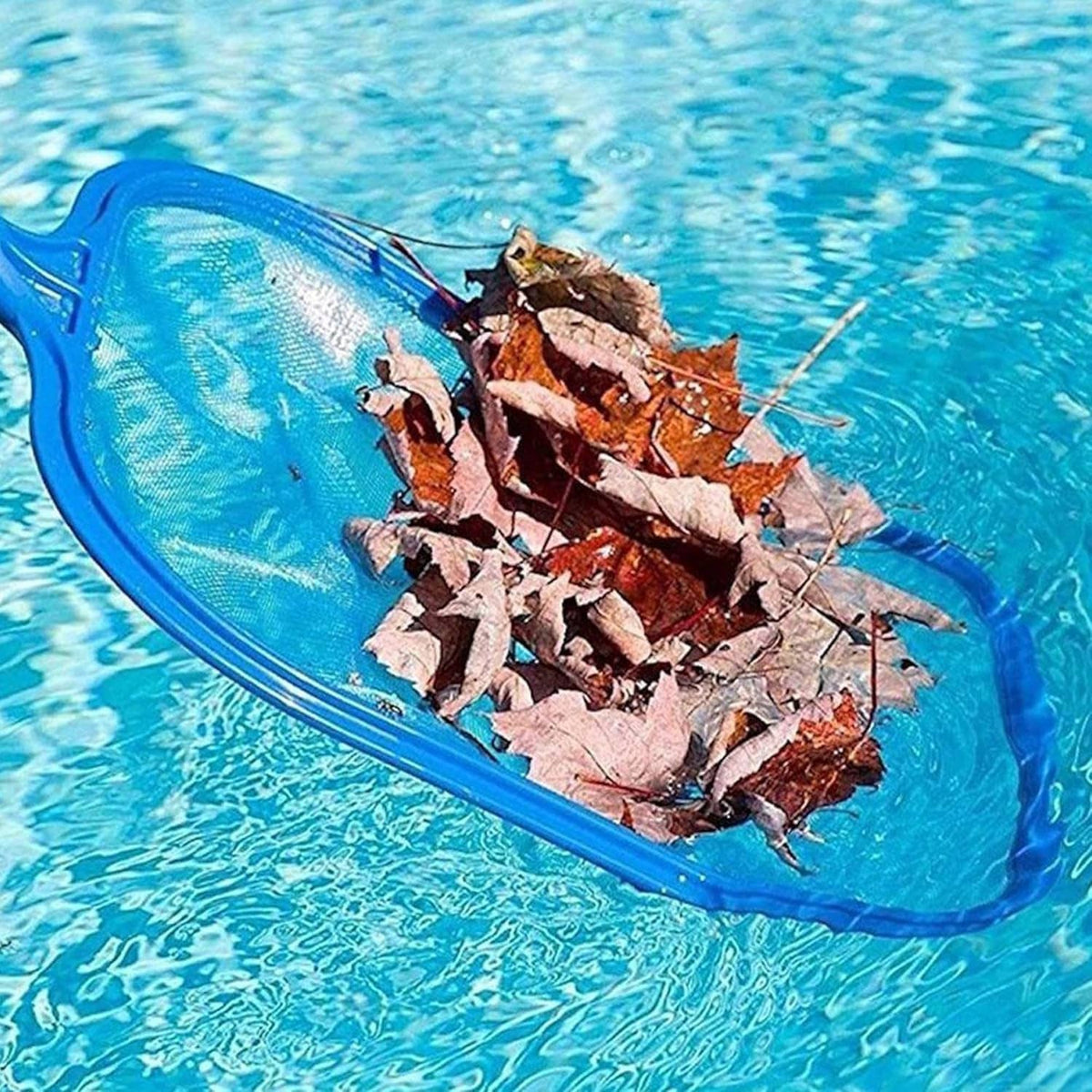 Blue pool skimmer leaf rake holding floating debris with fine mesh net