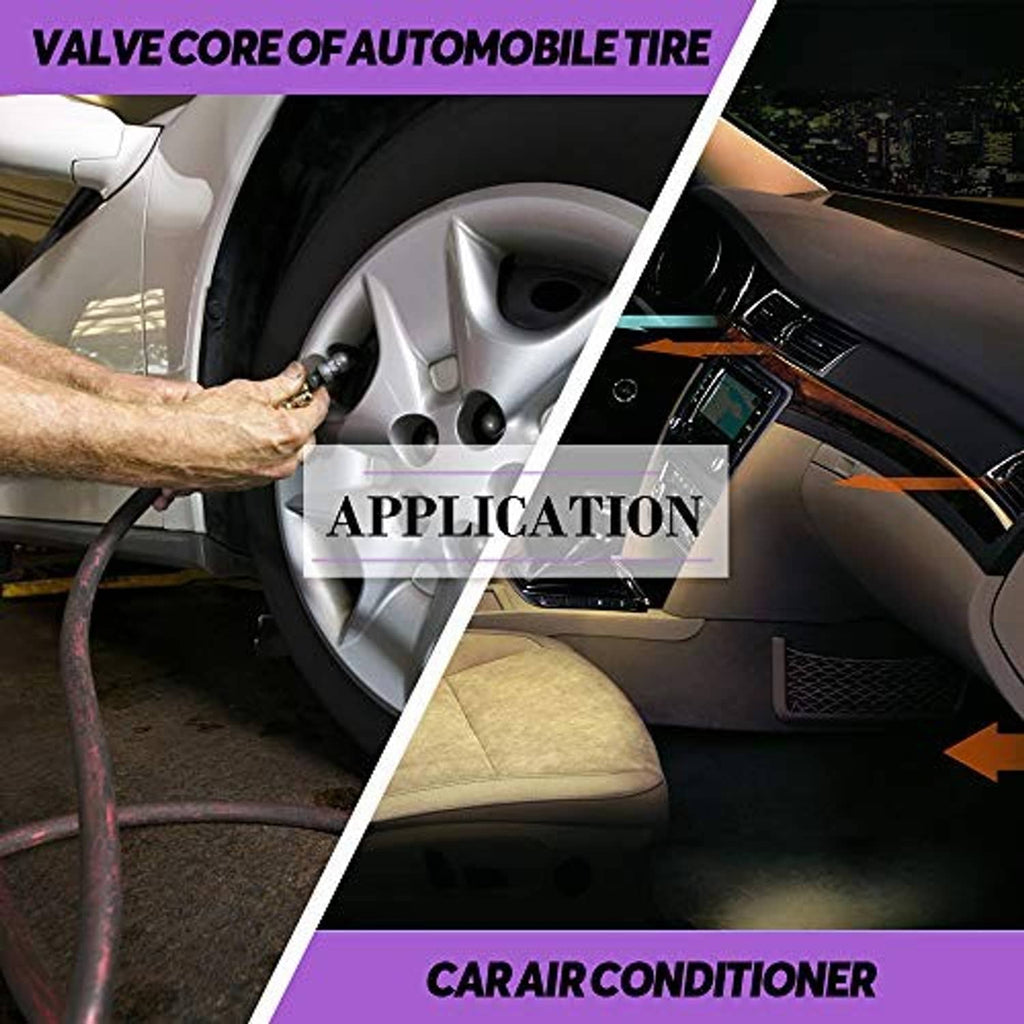 Vehicle application for AC refrigerant valve cores shown on tire and dashboard