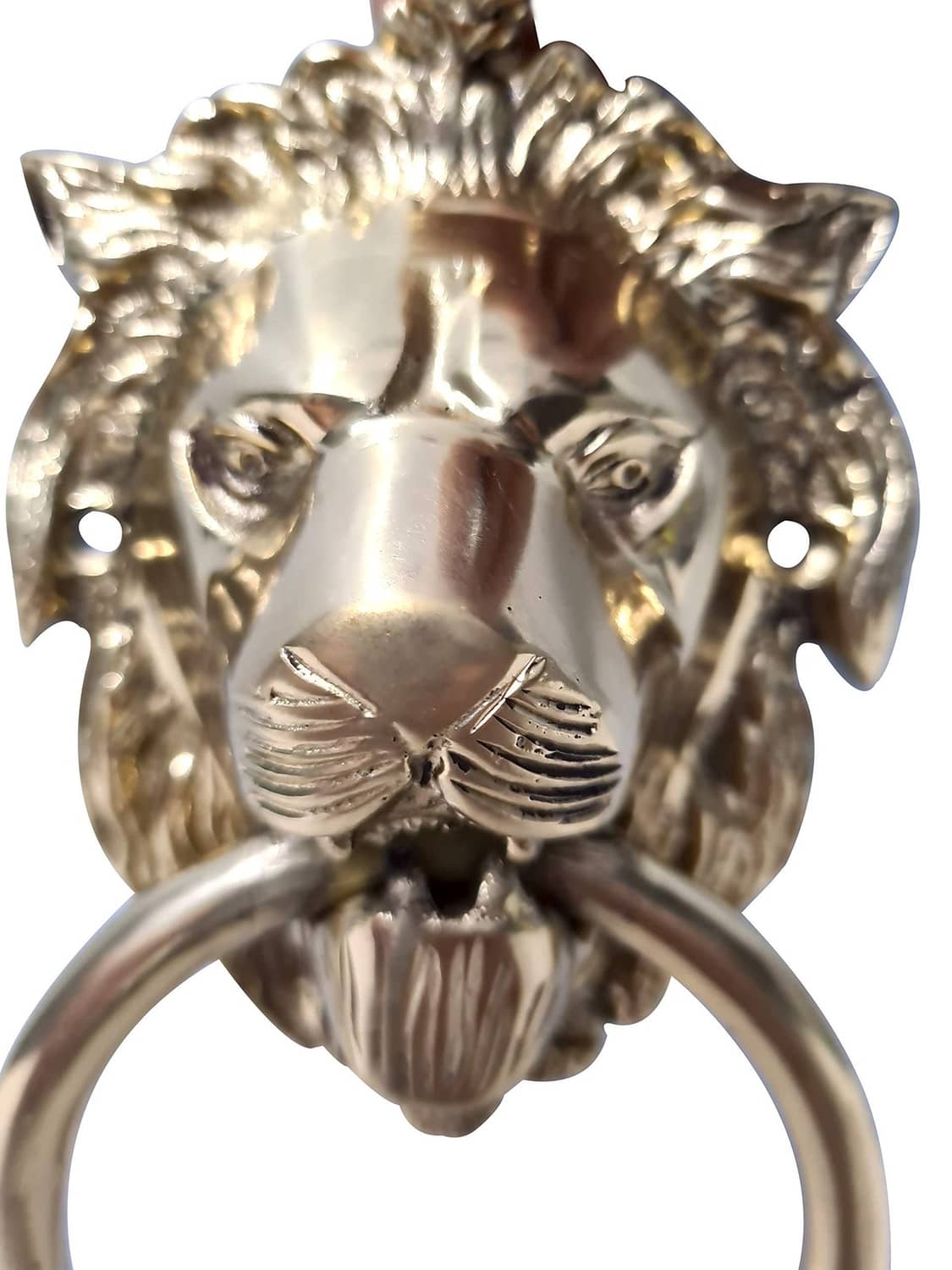 RivetOak Authentic Vintage Brass Lion Door & Gate Knocker Handle 6 x 6", Finish