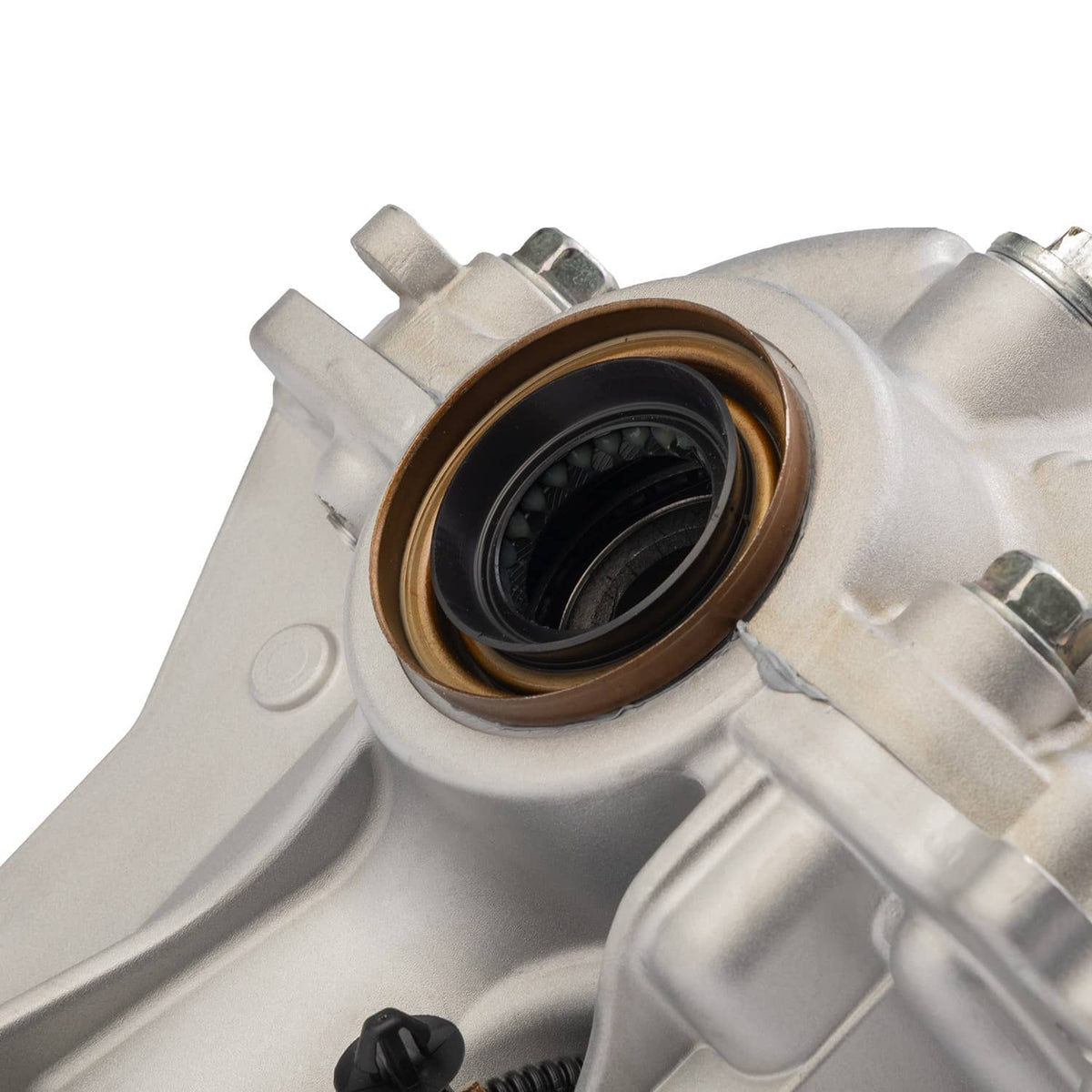 Rear axle differential seal area with dark bearing inside silver housing, brown seal ring
