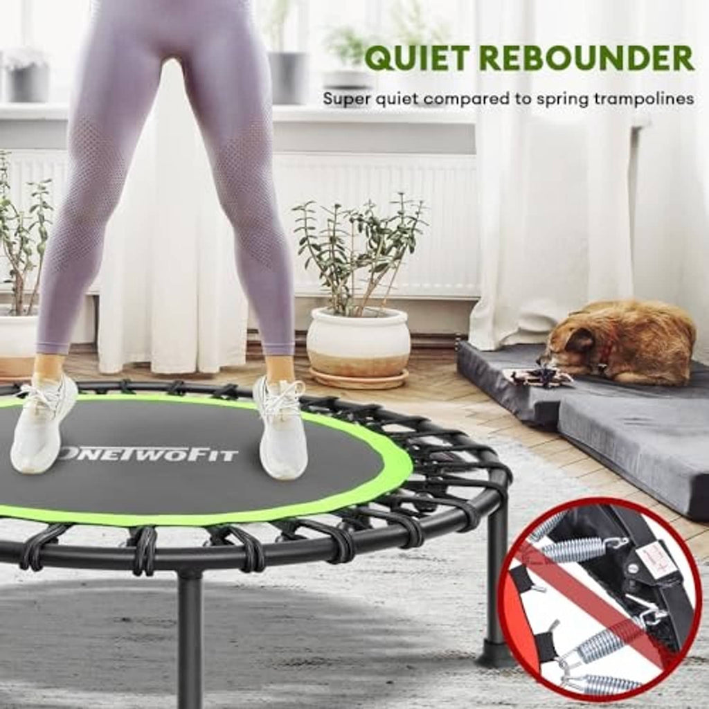 Mini trampoline on indoor floor with green deck; person preparing to bounce beside dog