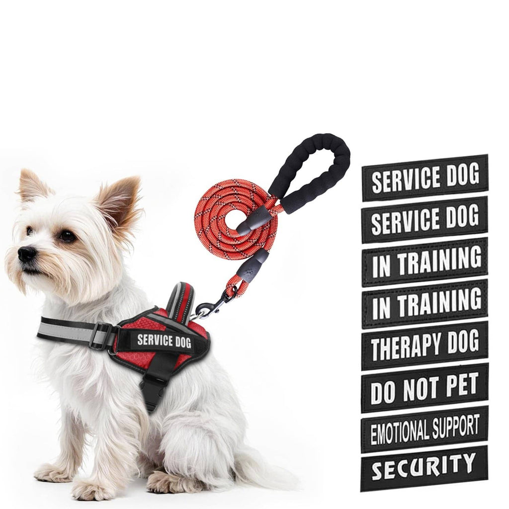 Red service dog vest harness with black straps and matching 5 ft leash set