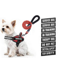 Red service dog vest harness with black straps and matching 5 ft leash set