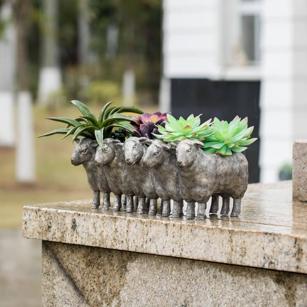 Dark gray resin sheep planter pot with green succulent leaves