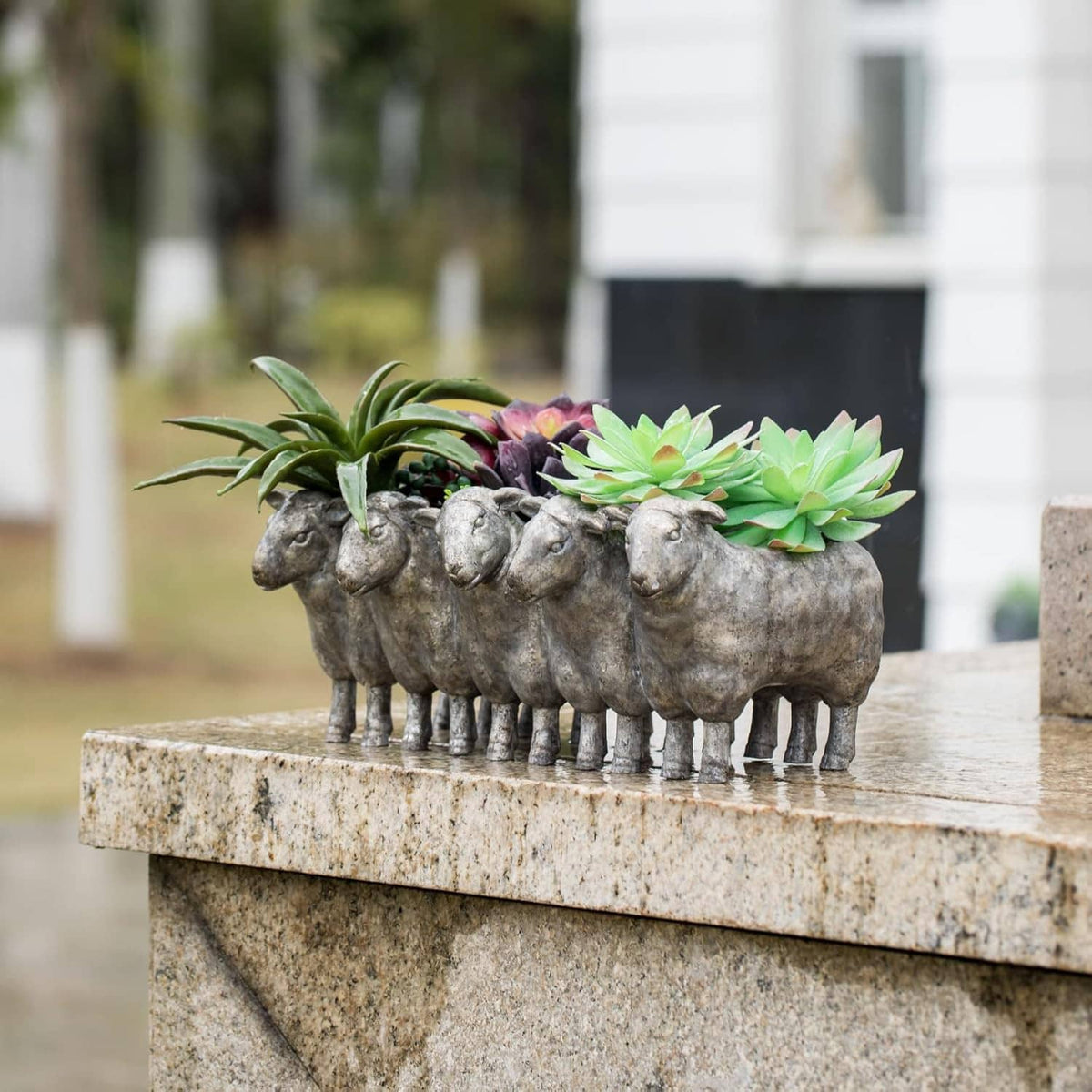 Dark gray resin sheep planter pot with green succulent leaves