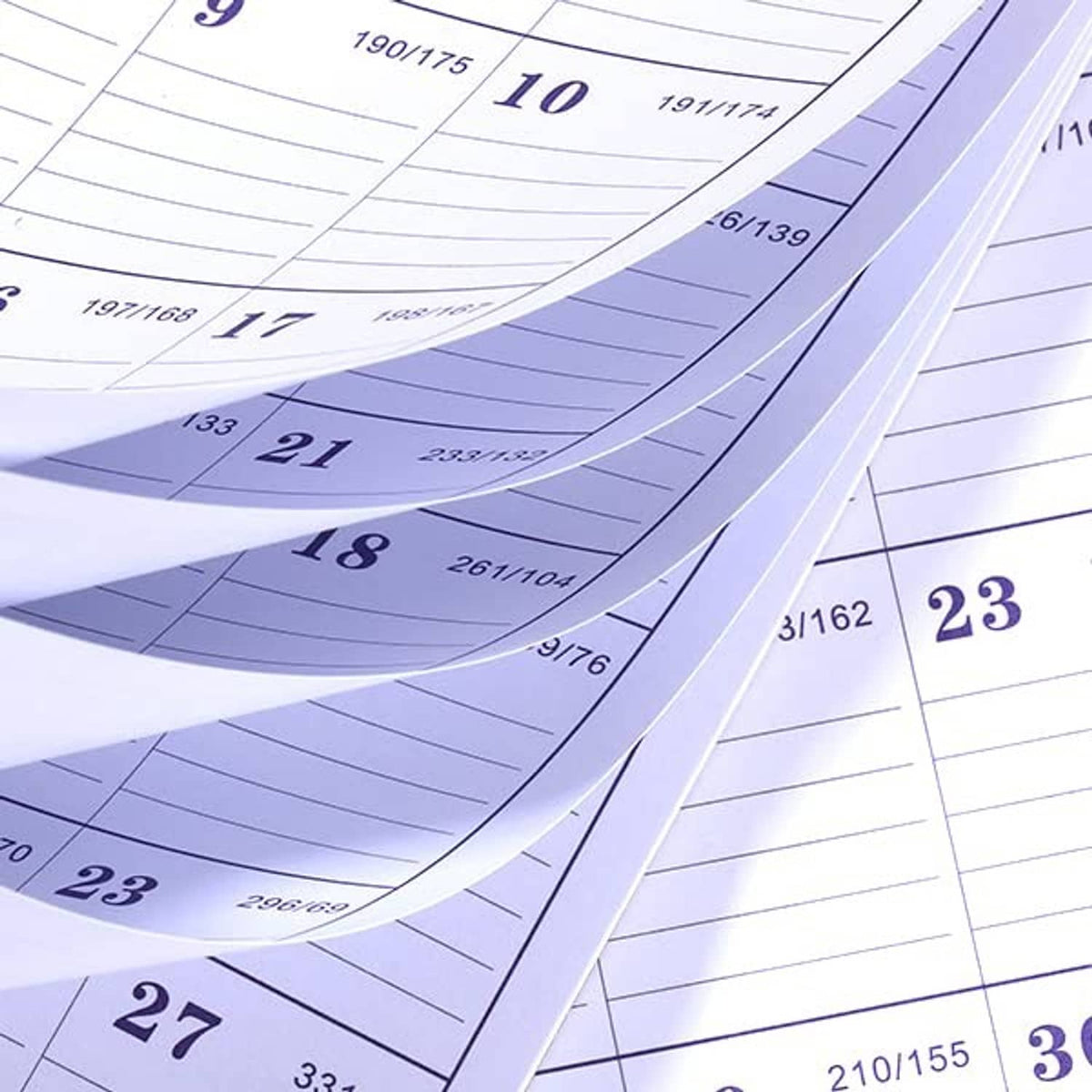 Curved close-up of Small 2025 wall calendar pages with purple date bands