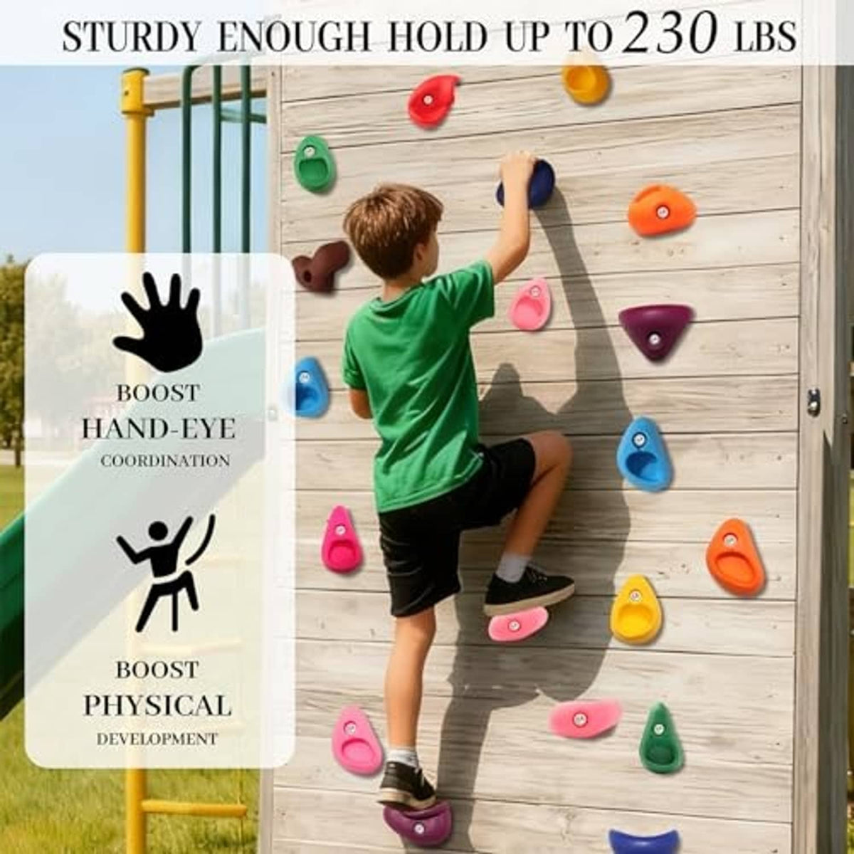 Multicolor plastic climbing grips on a wooden panel for kids