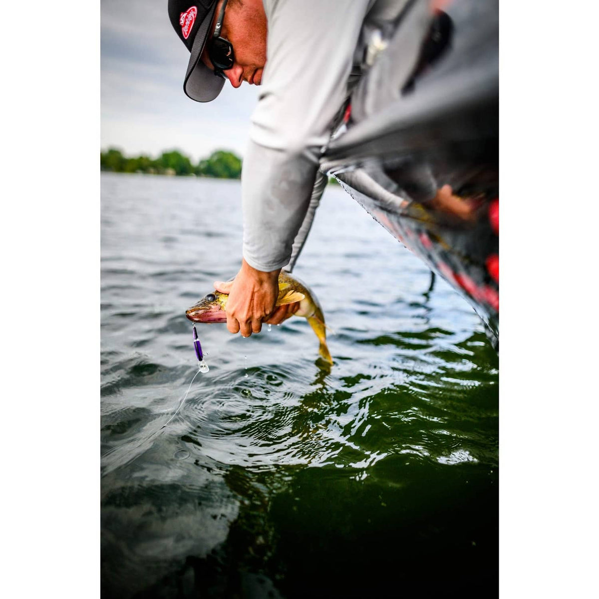 Freshwater fish held over water with a small purple lure near its mouth