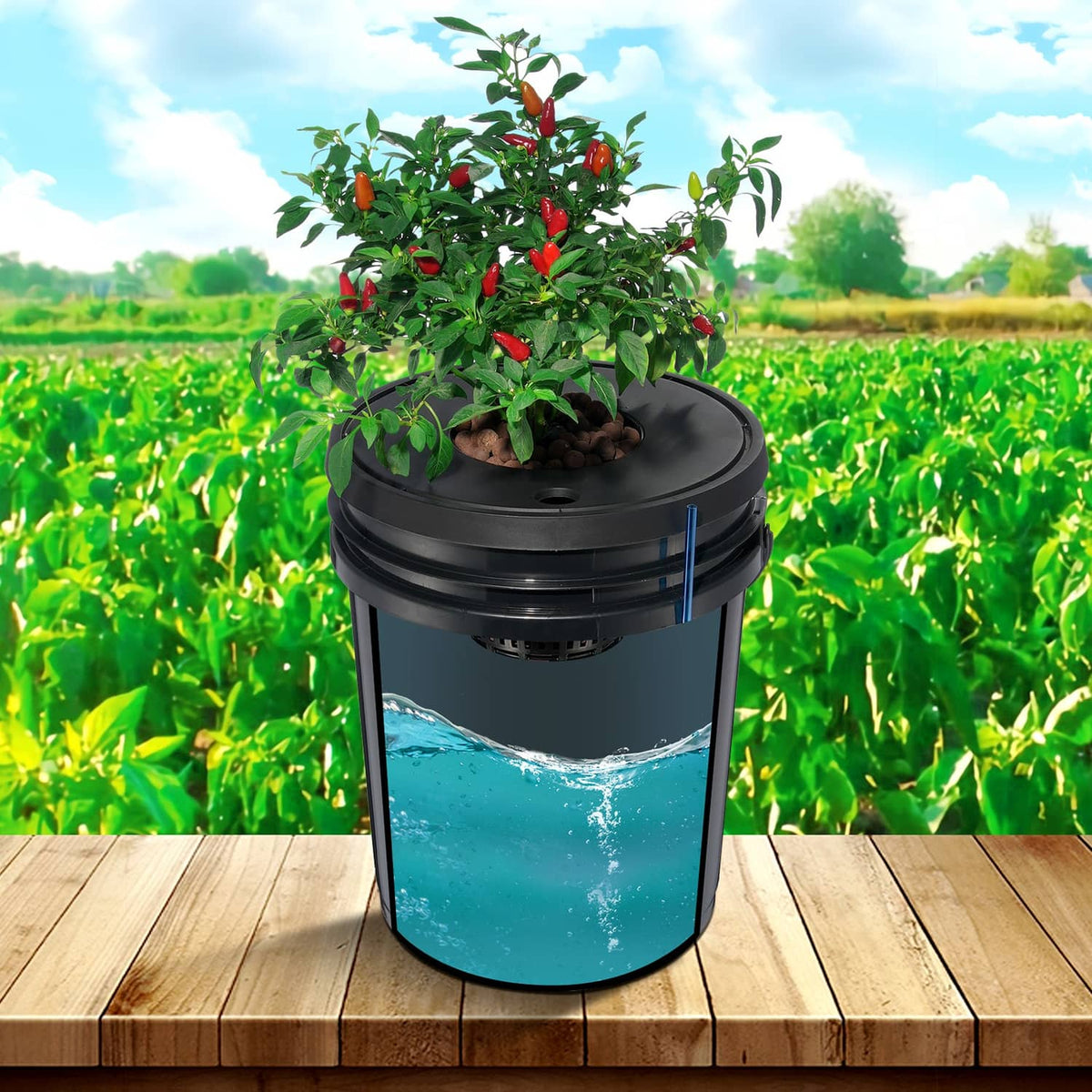 Black DWC hydroponic bucket with floating plants and visible water reservoir