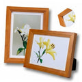 Brown 5x7 wooden picture frame with clear glass and inner border