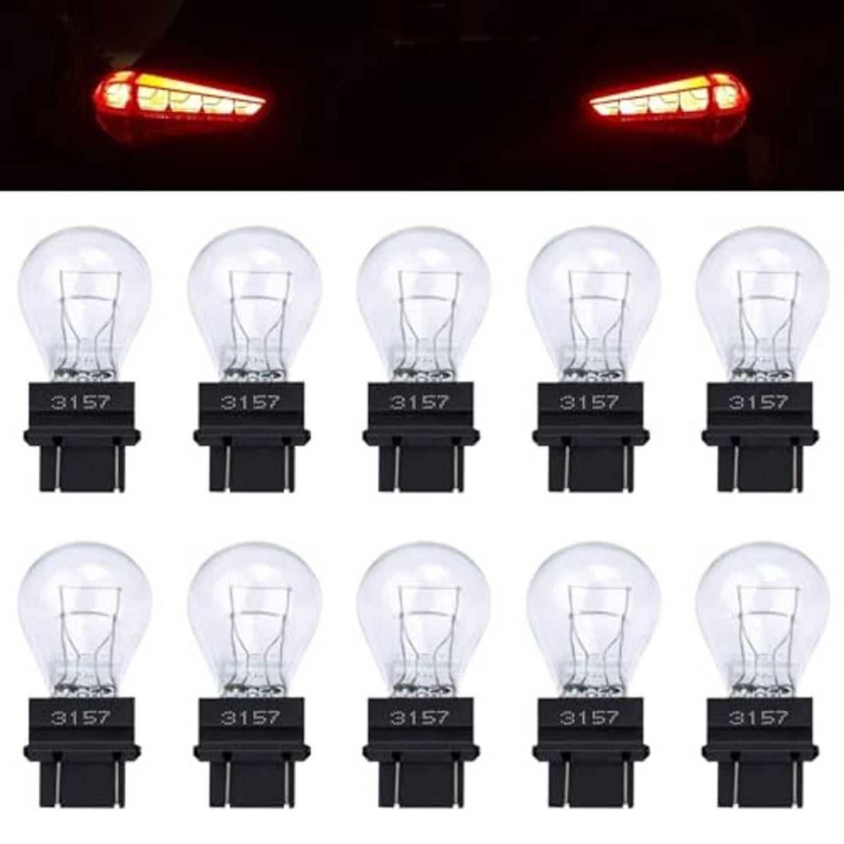 White miniature dual-filament tail light bulbs with black base, 10-pack