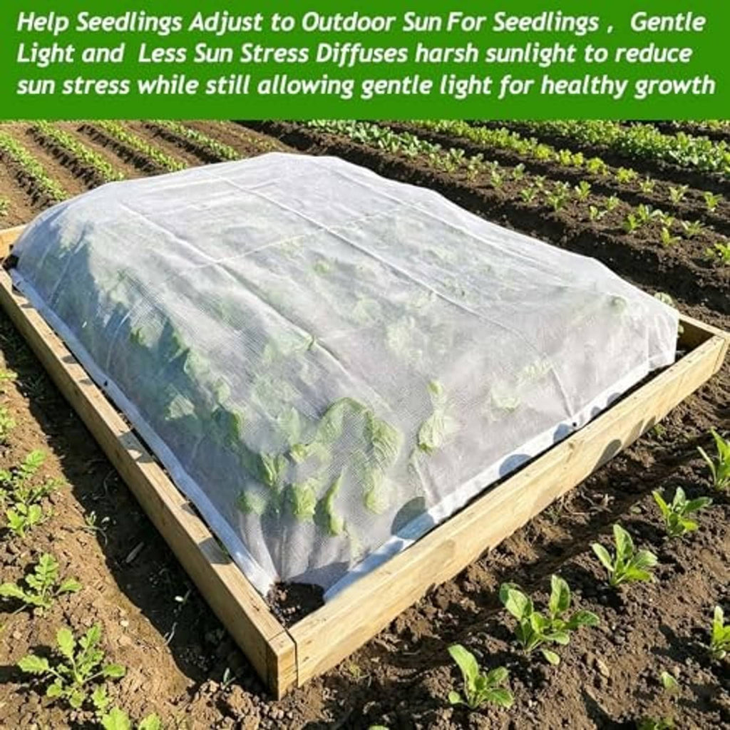 White shade cloth covering seedlings on a raised wooden garden bed frame