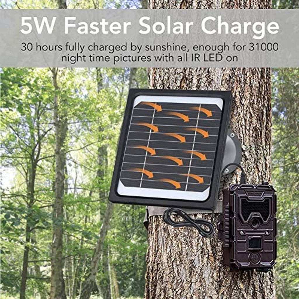 Solar panel with mounting bracket and cable, attached near trail camera on tree