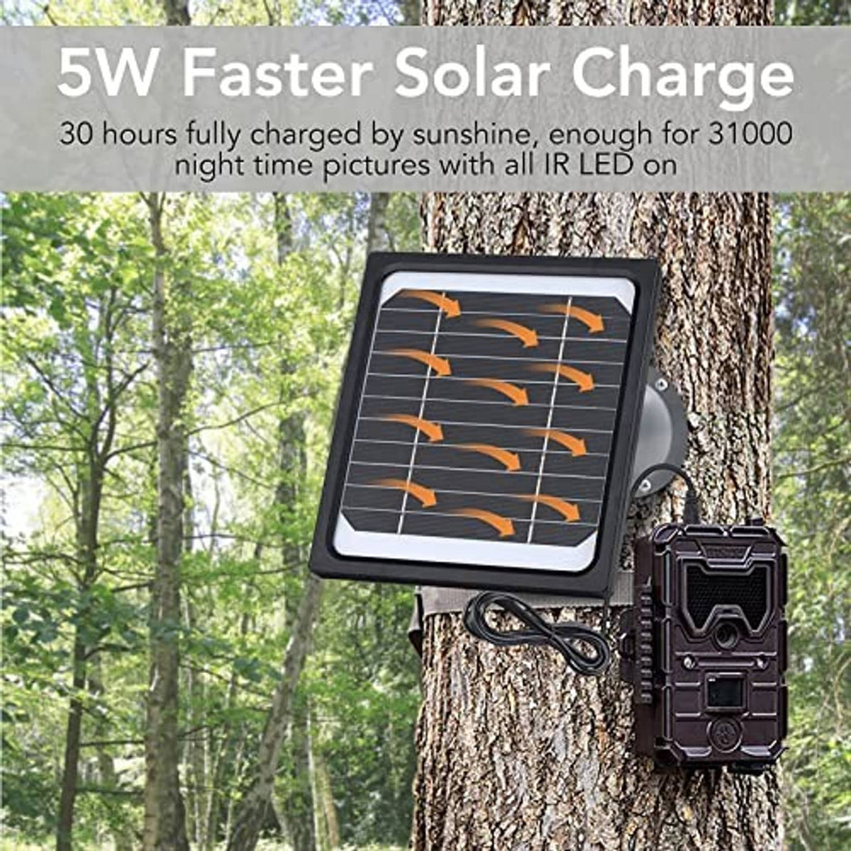 Solar panel with mounting bracket and cable, attached near trail camera on tree