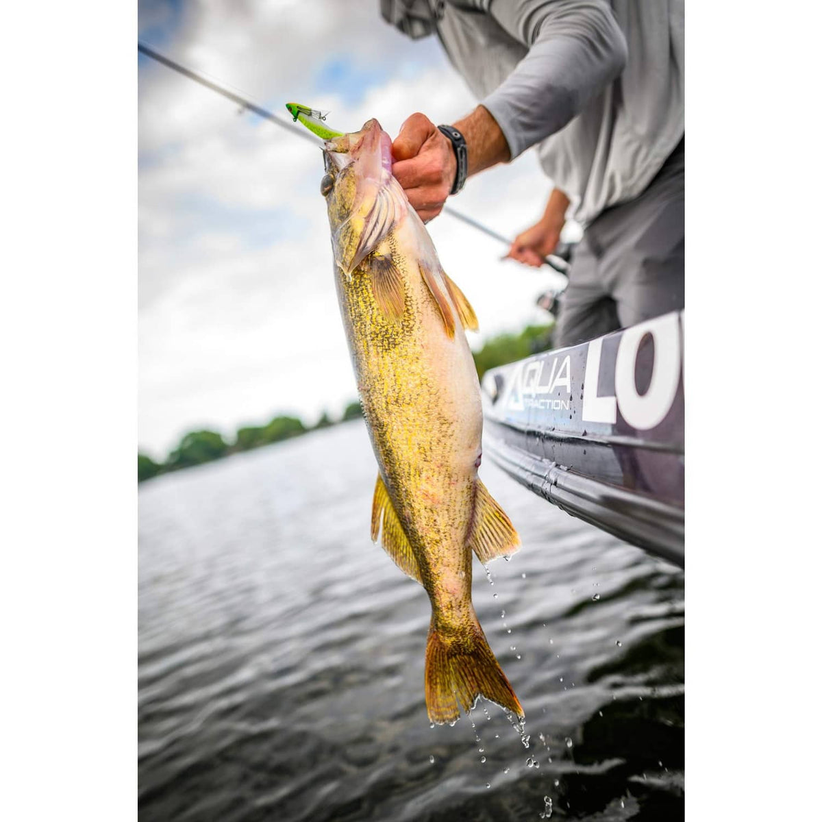 Chartreuse soft shad lure in fish mouth with white belly and green tail
