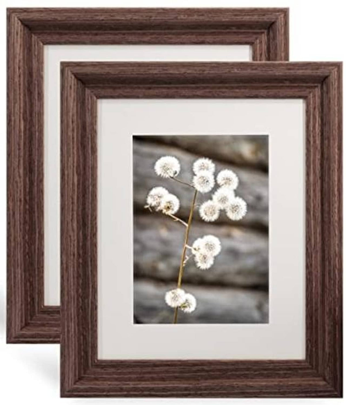 Dark brown wood picture frame with white mat and flower photo, front view.