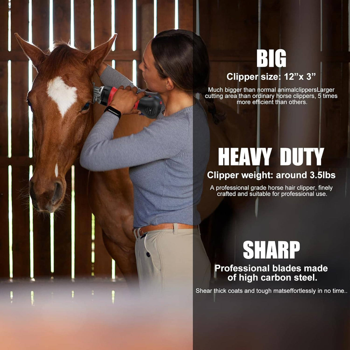 Handheld electric horse grooming clipper shaving a horse coat near the blade