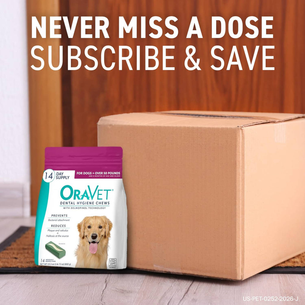 OraVet 14-count dental hygiene chew bag with green chew stick on a box