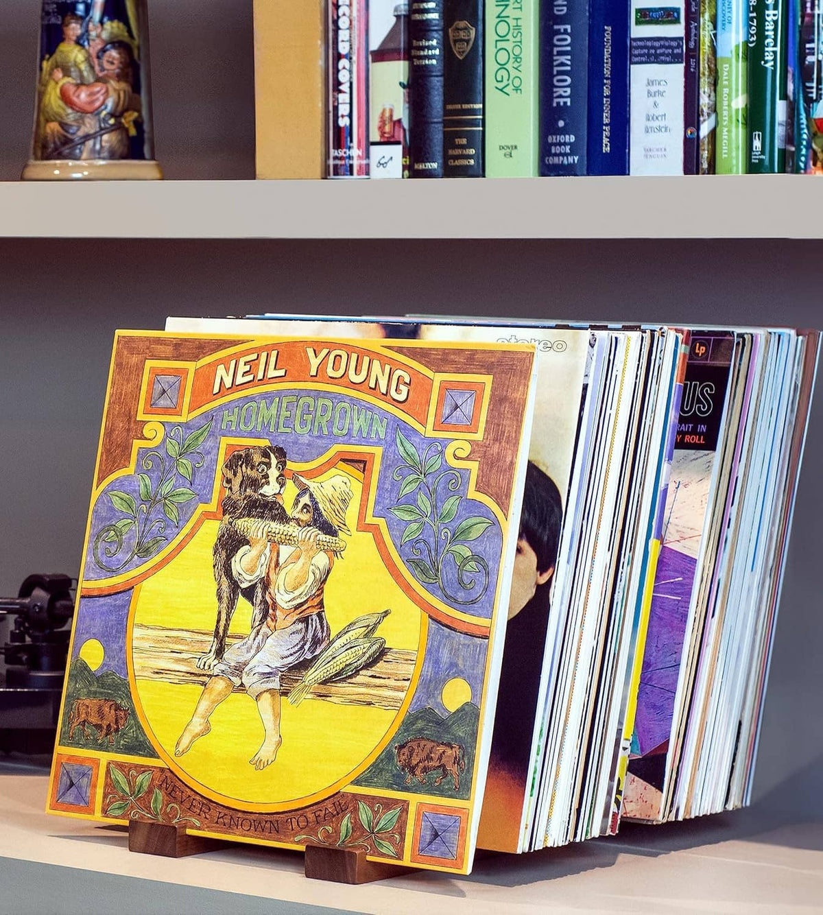 Walnut vinyl record stand holding album sleeves upright on a wood base