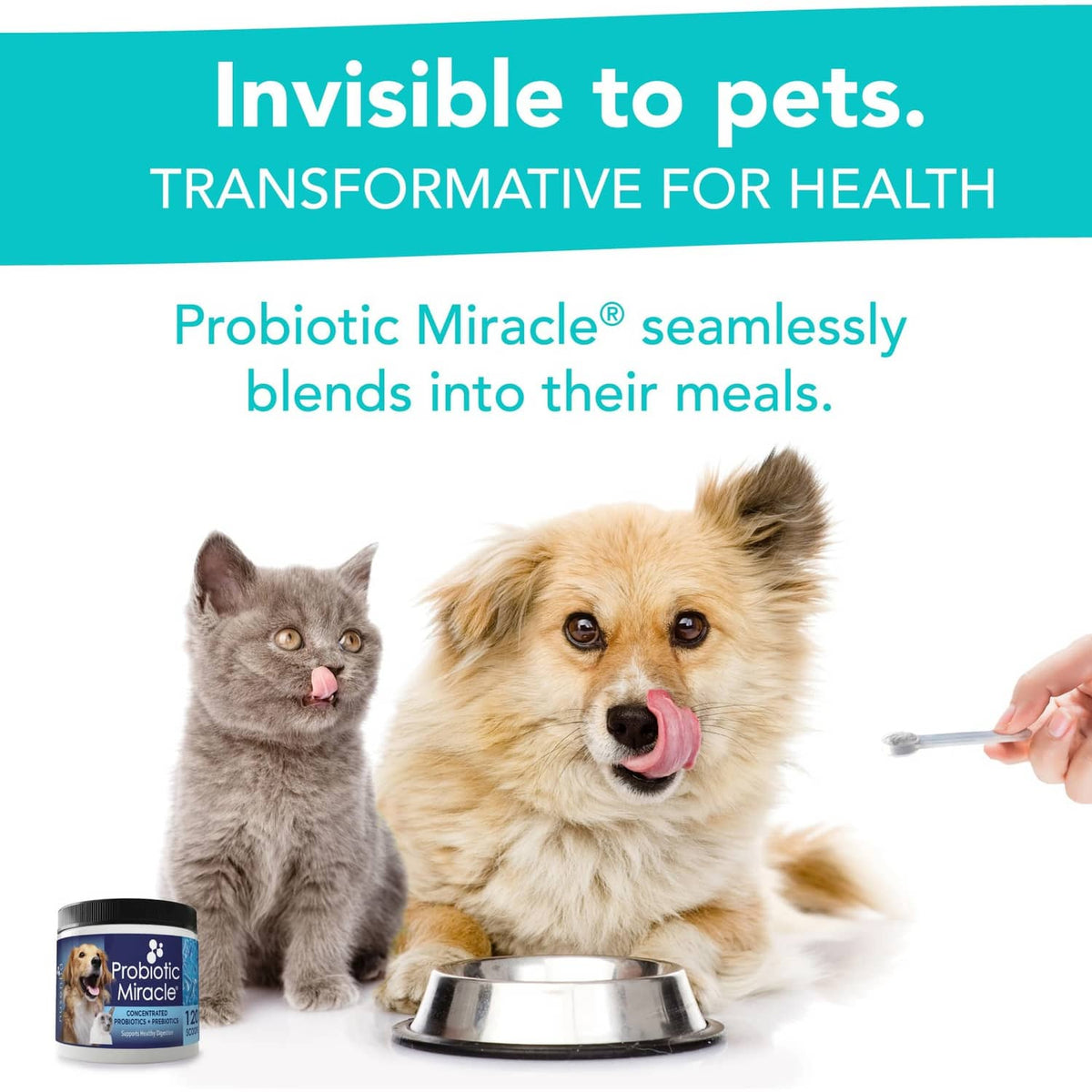 Probiotic Miracle feeding concept graphic with jar and pets near a bowl