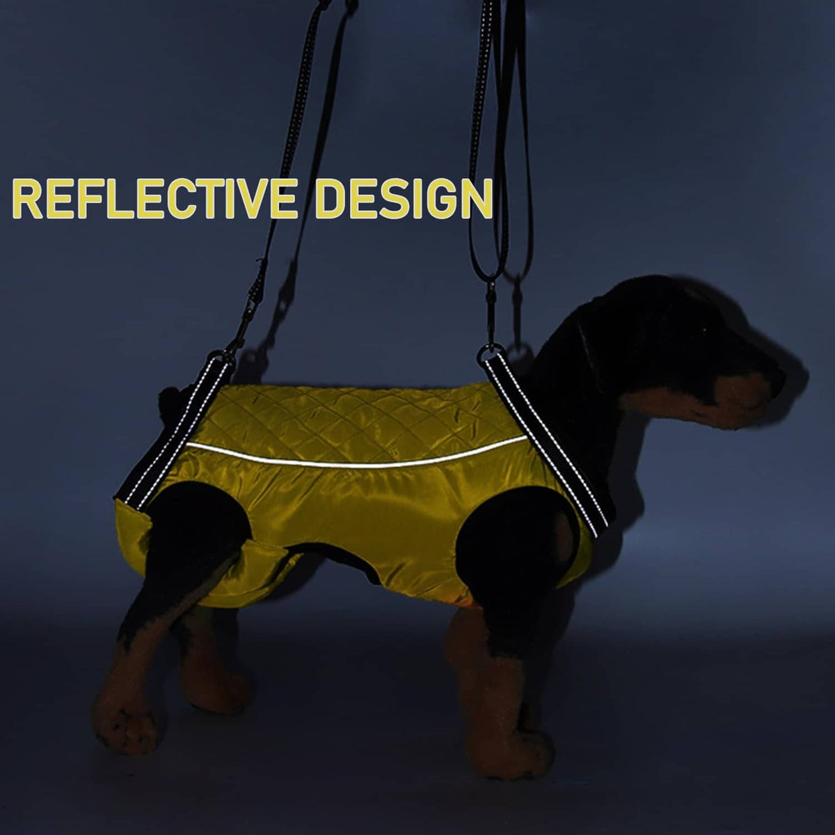 Reflective yellow dog lift harness shown on a small dog in low light
