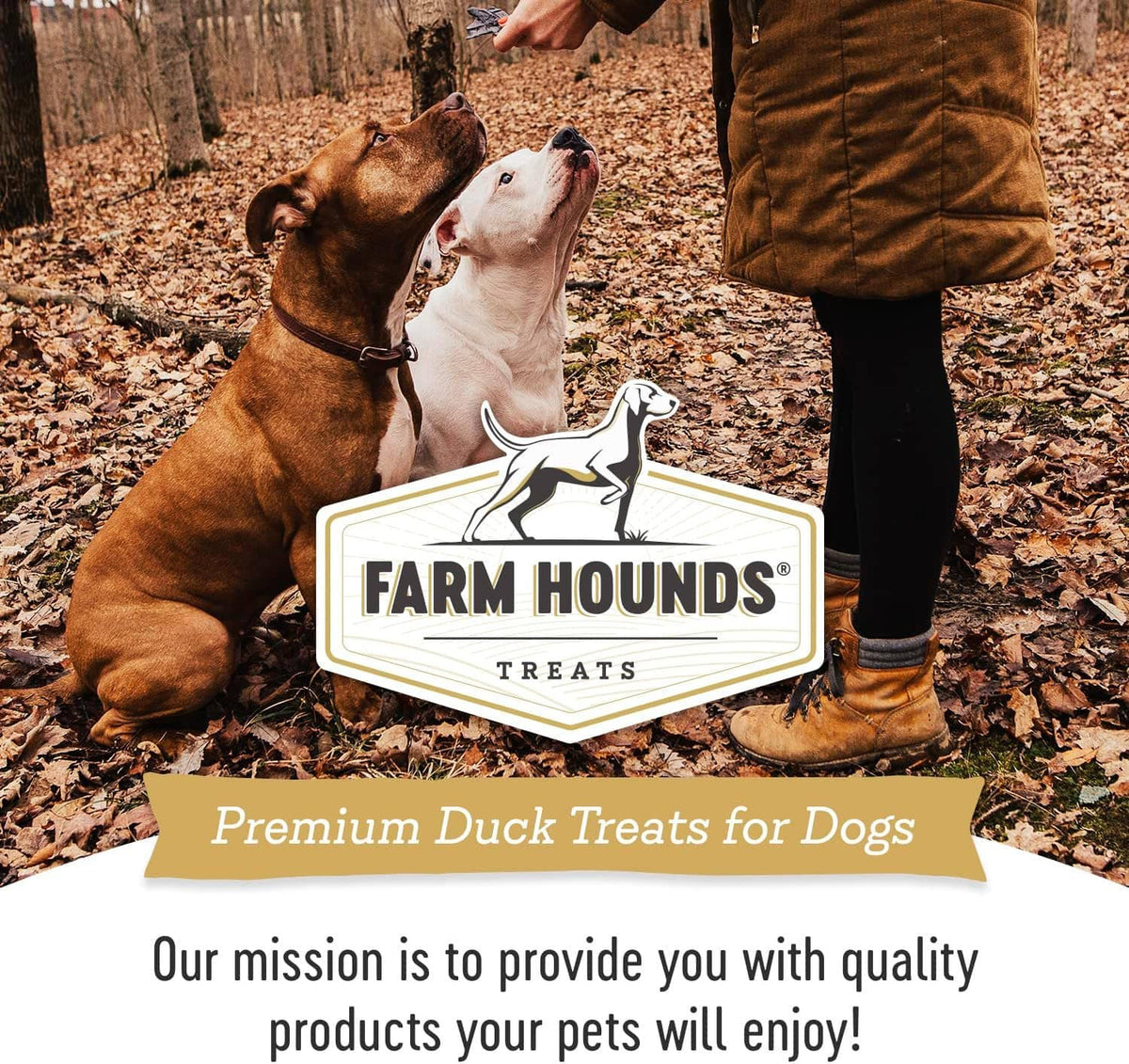 Two dogs outdoors with Farm Hounds Premium Duck Treats badge