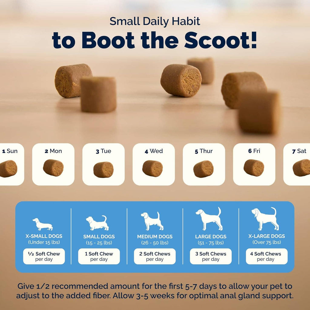 Daily schedule graphic with tan soft chew pieces for booting the scoot routine