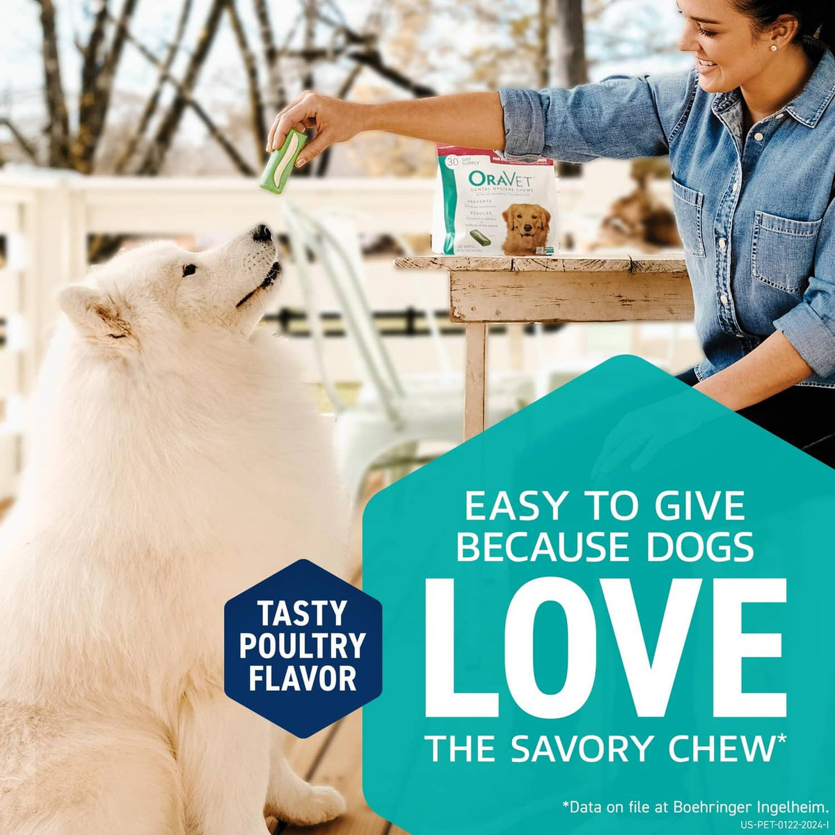 Person offering a dental chew to a white dog, with a green bag visible in the hand