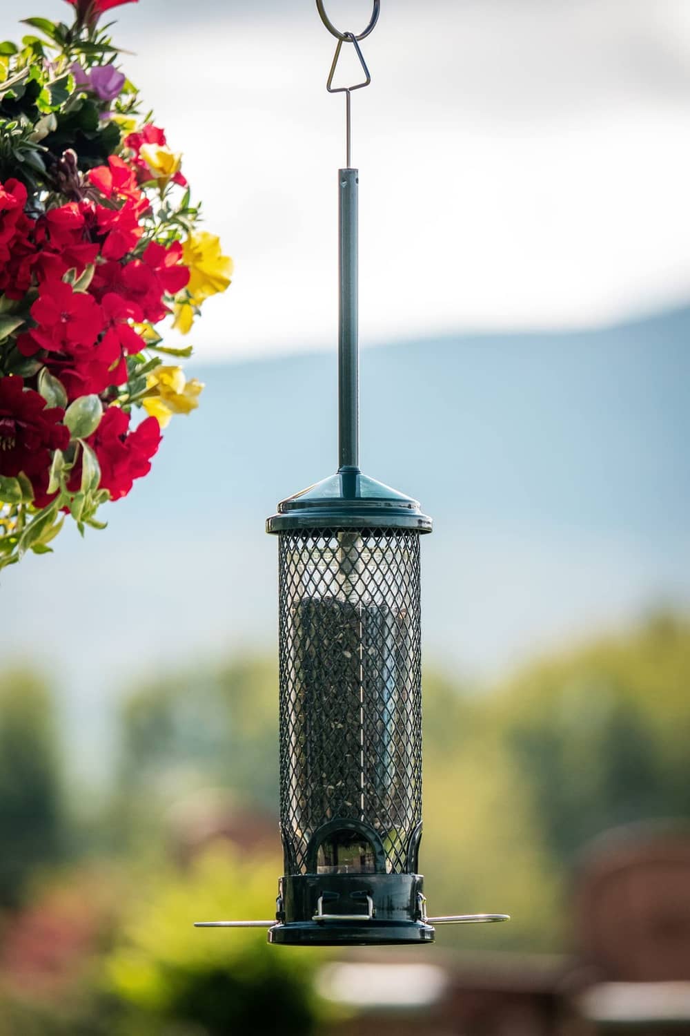 Mini squirrel-proof bird feeder with mesh cylinder and wide metal perch ring, hanging hook