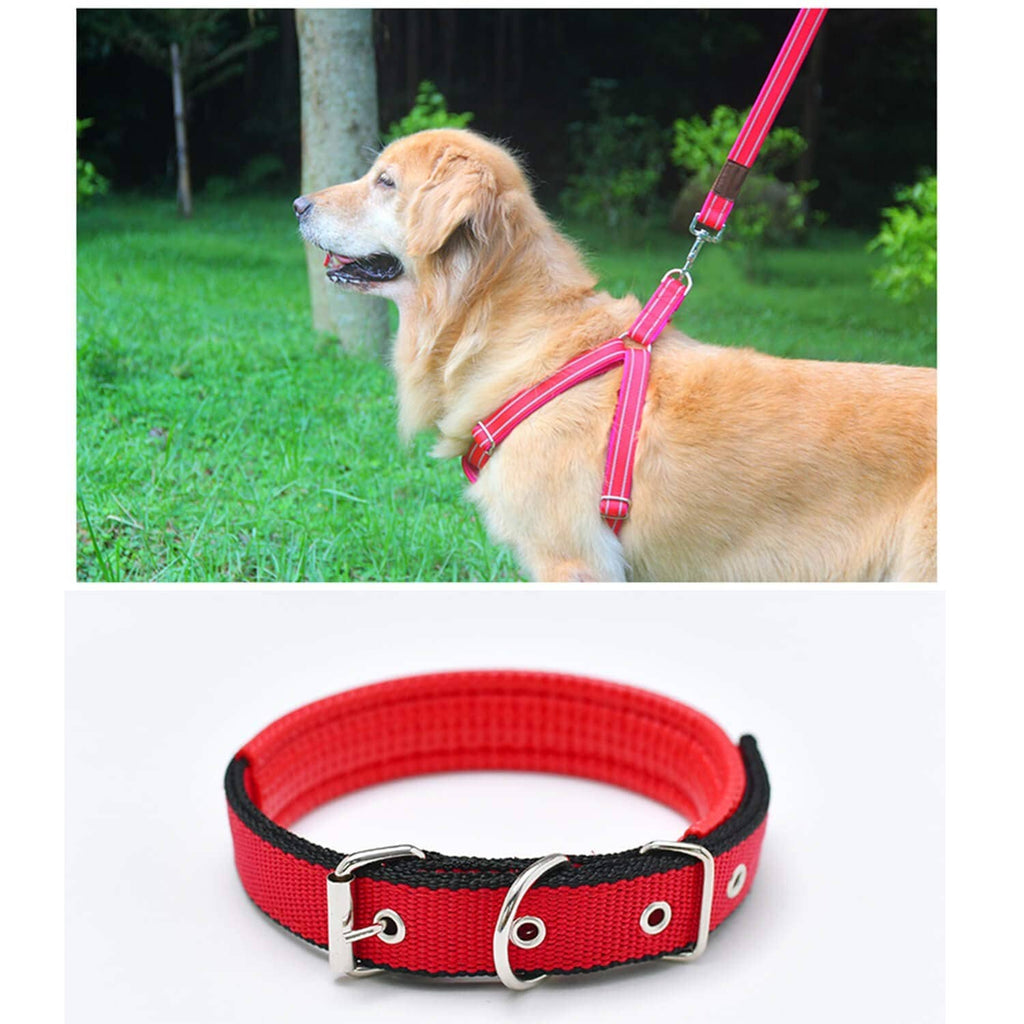 D-ring buckle on red dog collar strap, black U-shaped metal loop