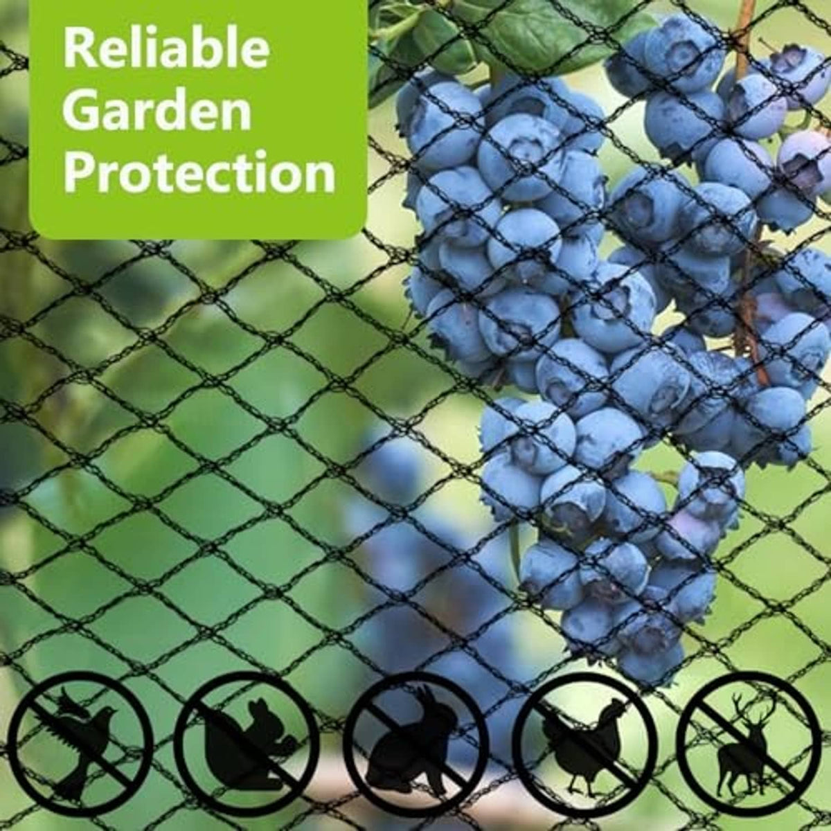 Dark diamond-mesh bird netting over blue grapes in a protected cluster