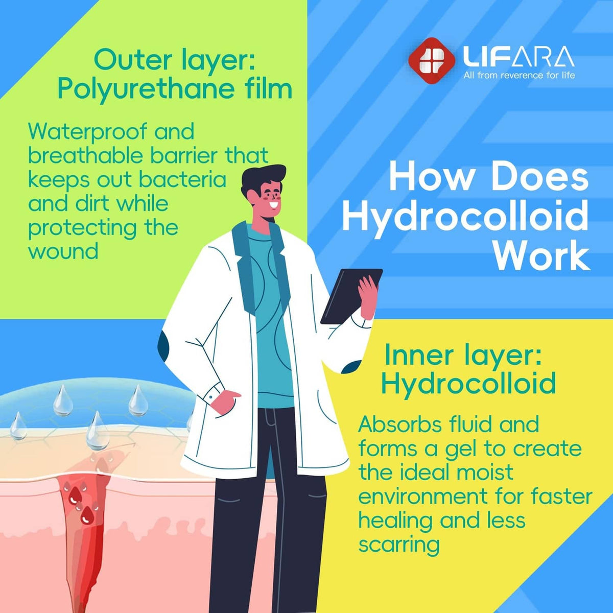 Hydrocolloid roll how-it-works infographic with inner and outer layer diagram