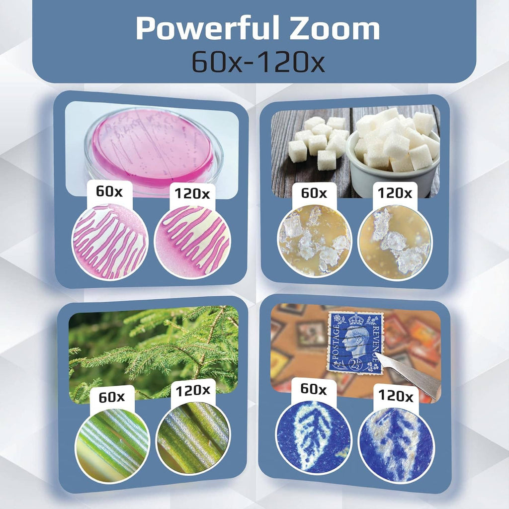 LED pocket microscope zoom graphic showing 60x and 120x sample magnification circles