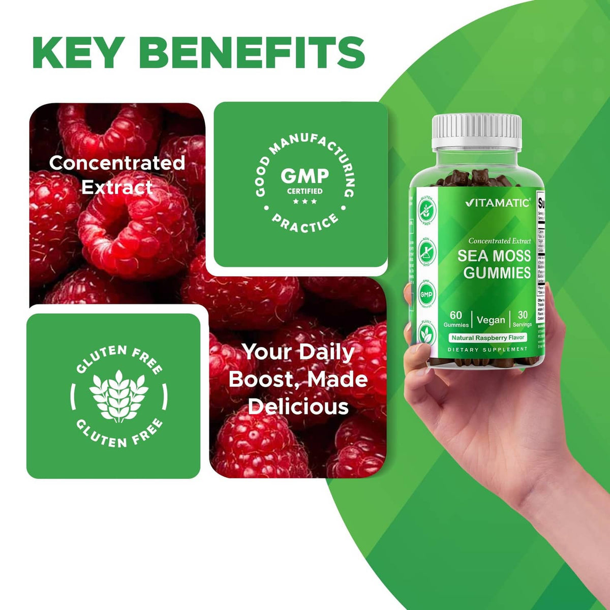 Sea moss gummies bottle held in hand, green label with vegan and 60 gummies