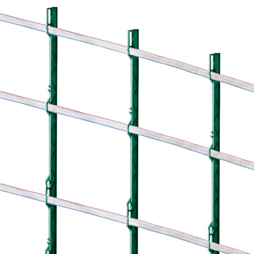 Red-white-blue electric fence tape strands running between green fence posts
