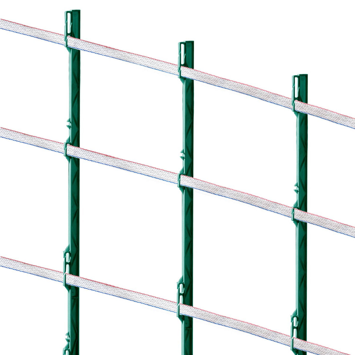 Red-white-blue electric fence tape strands running between green fence posts