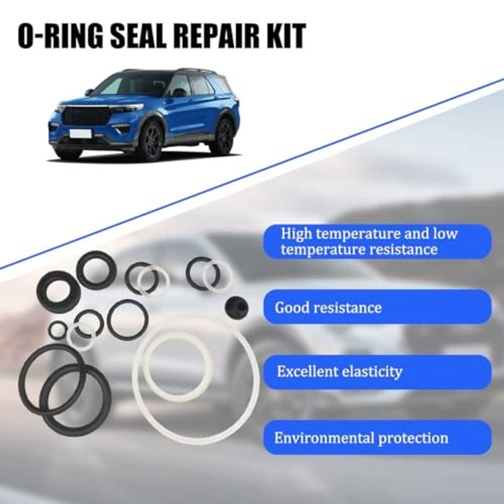 O-ring seal repair kit with assorted black and white O-rings and rubber plug