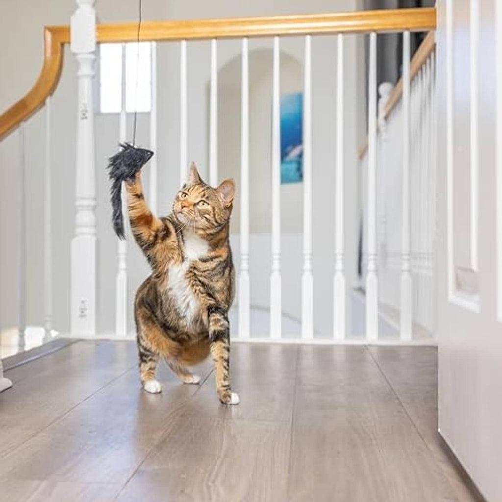 Orange plush mouse hanging from a string toy as a tabby cat reaches