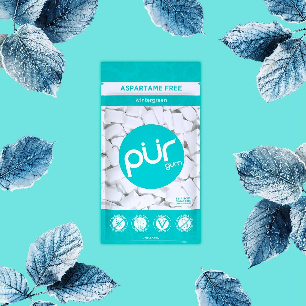 PUR wintergreen gum pack, aspartame free, xylitol