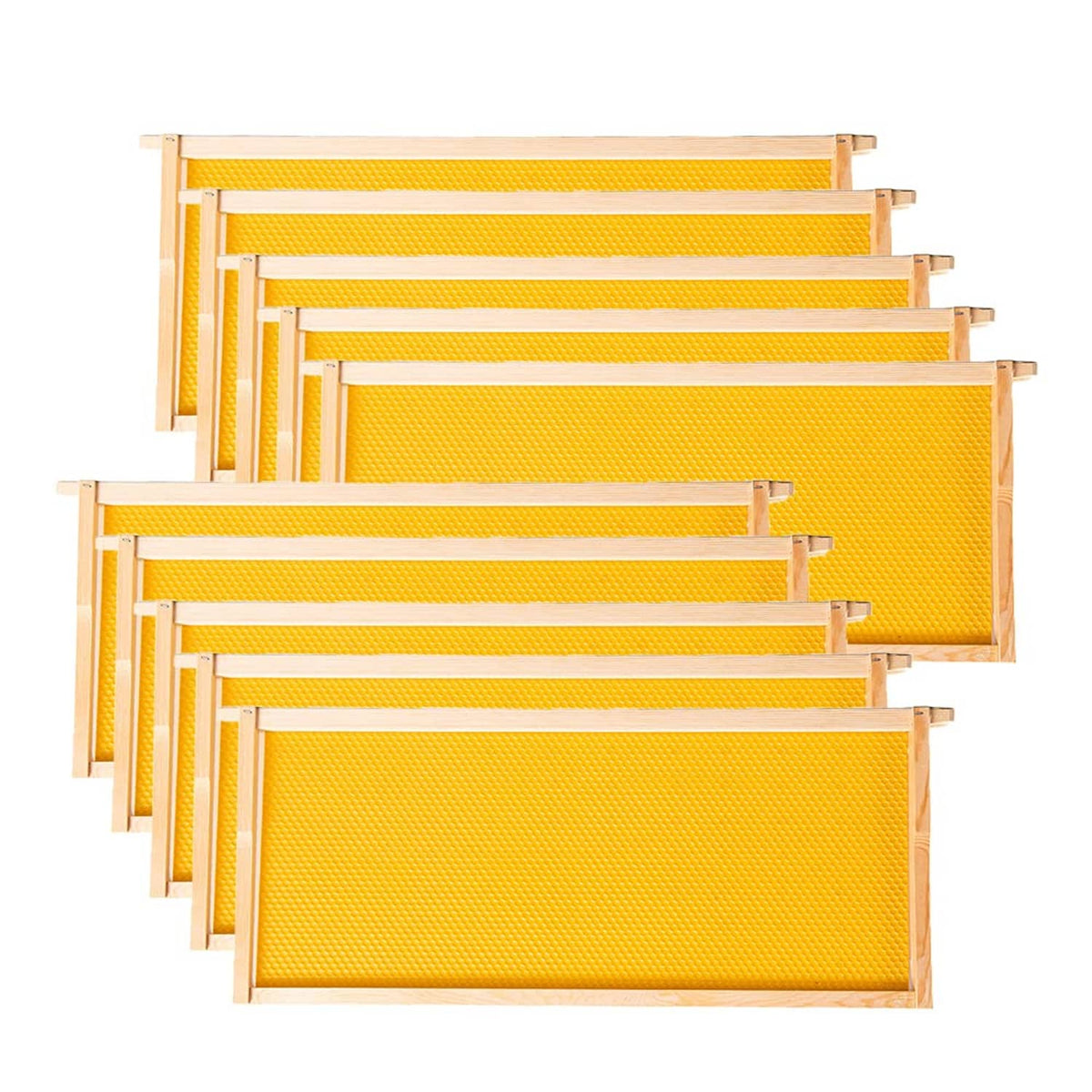 Set of deep brood beehive frames with wax foundation sheets, light wood and orange