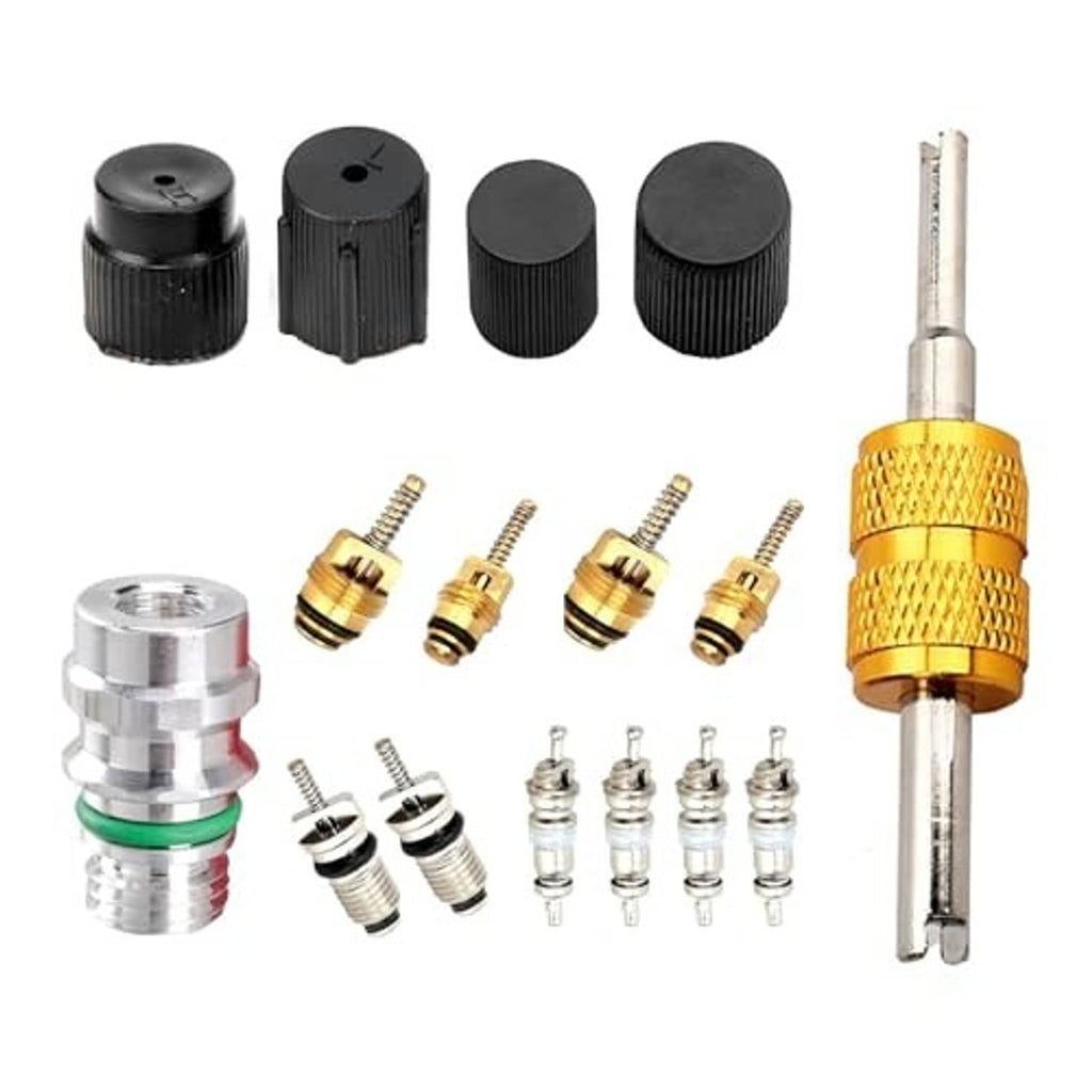 Air conditioning valve core removal kit with tool handle, black caps, and silver core fittings