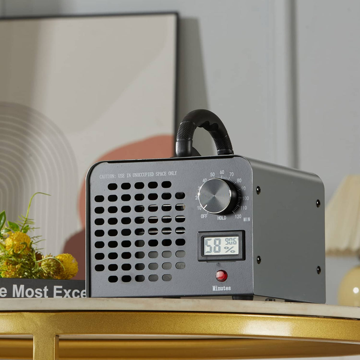 Ozone generator air purifier with front vents, control dial, and humidity display on unit.