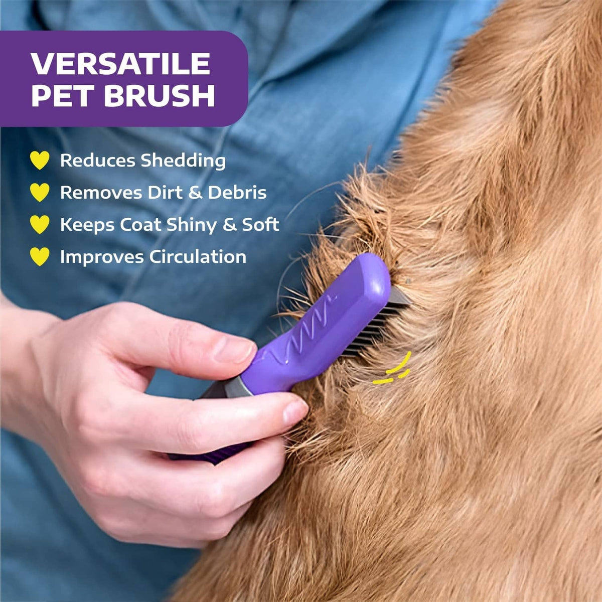 Purple dematting comb tool brushing a dog’s brown coat, metal teeth visible