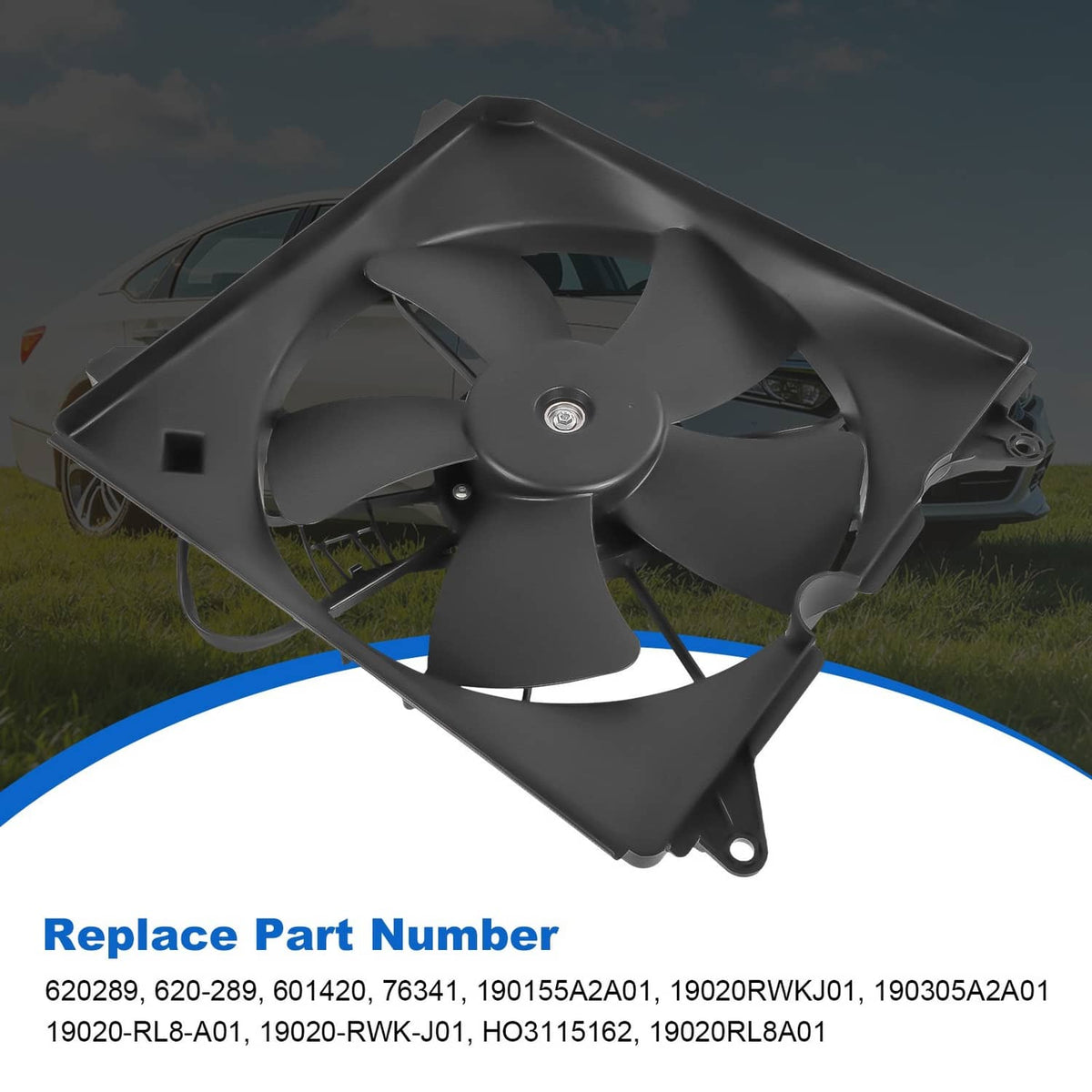 Driver-side radiator cooling fan assembly with black blades and motor hub