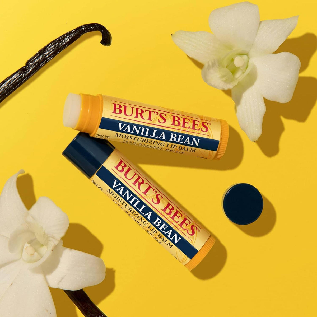Vanilla bean moisturizing lip balm with vanilla pods and flower, Burt's Bees