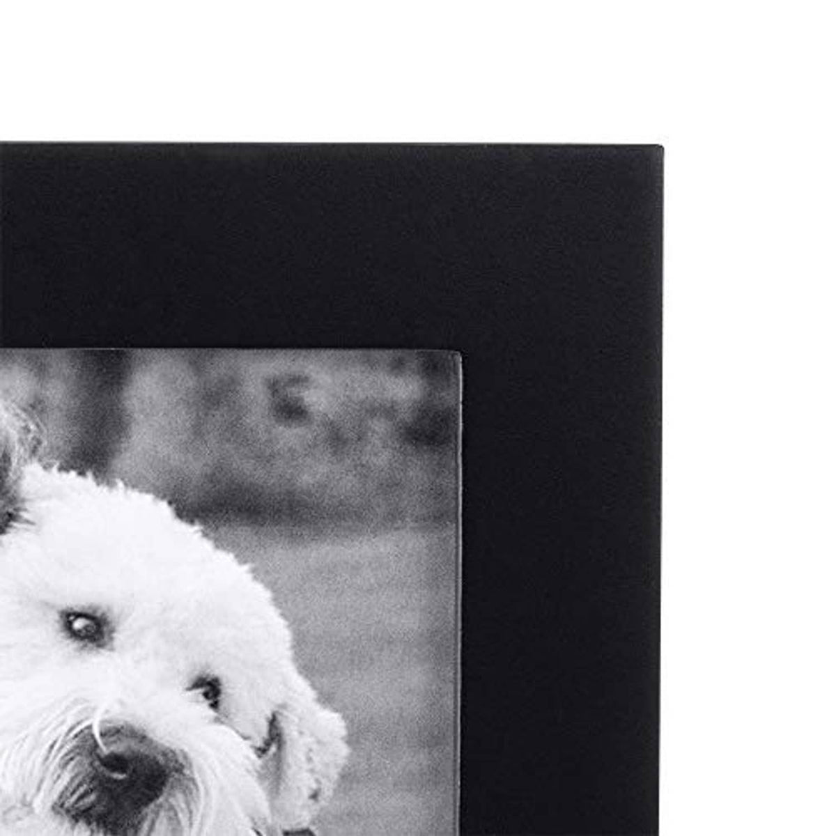 Black wood pet photo frame close-up corner with photo window border